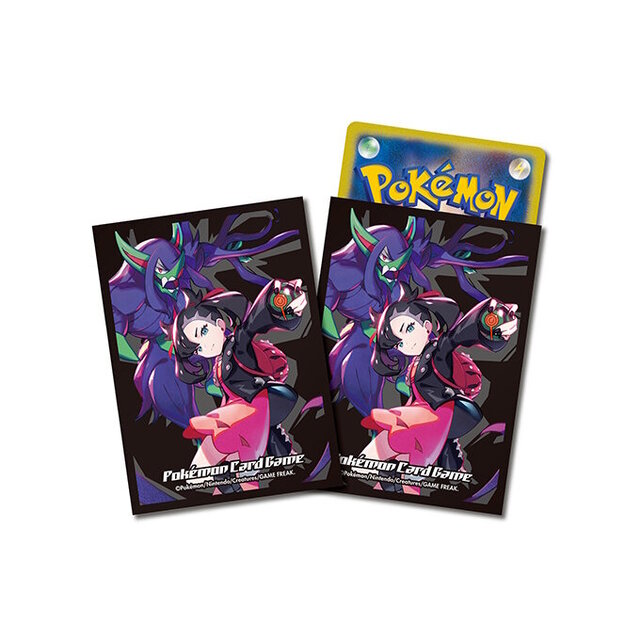 ポケカ』6月6日発売の「周辺グッズ」にゼクロム、レシラムが登場