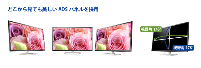 EX-LD3151DB | 広視野角ADSパネル採用 31.5型ワイド液晶ディスプレイ