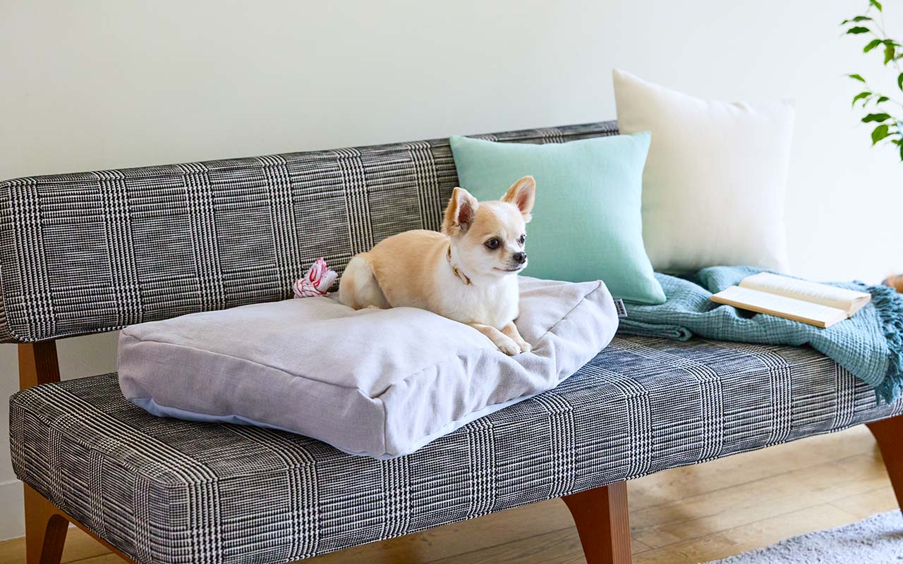 IDEE イデー ベットスロー 【公式通販】