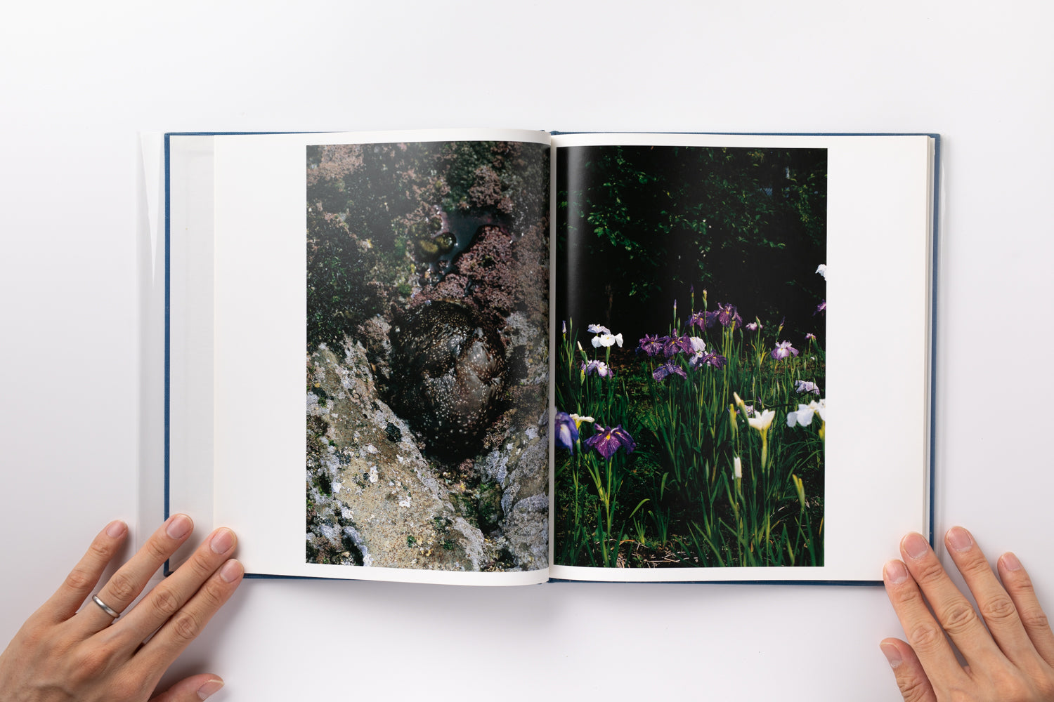 2X6A2817_4100x.jpg?v=1691816868