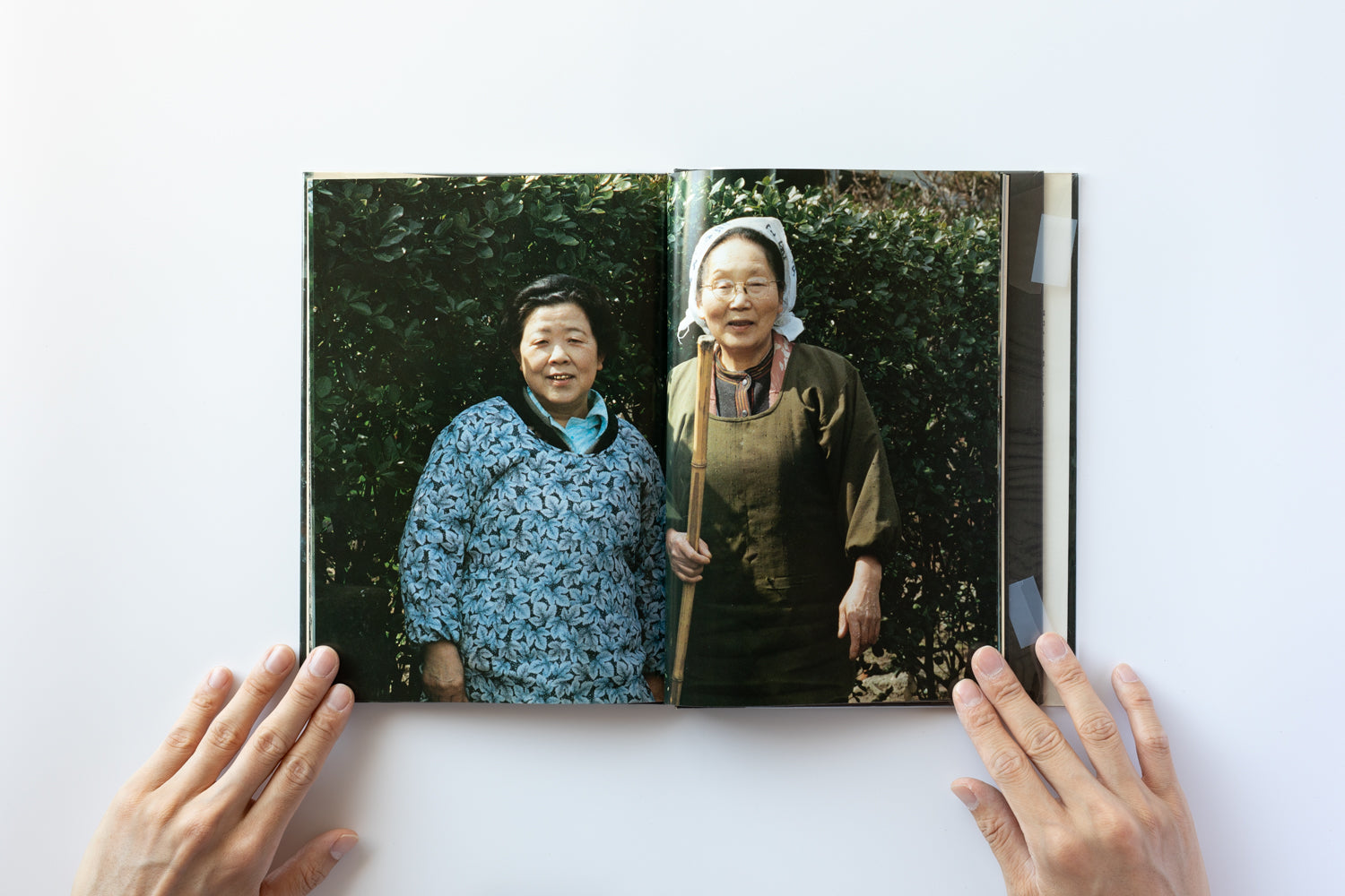 新たなる凝視 by 中平卓馬 – IACK