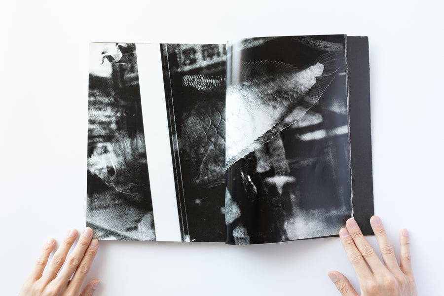 光と影 by 森山大道 – IACK