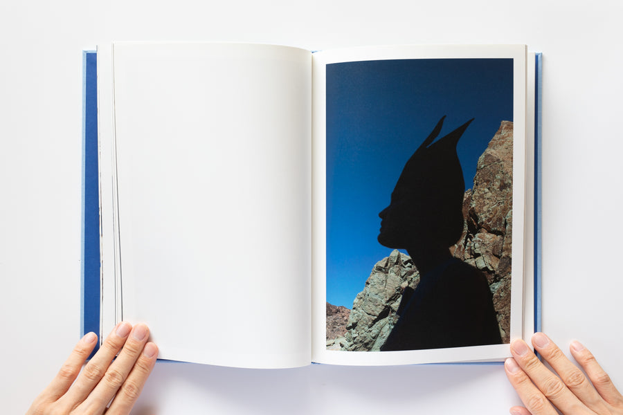 ROXANE by Viviane Sassen – IACK