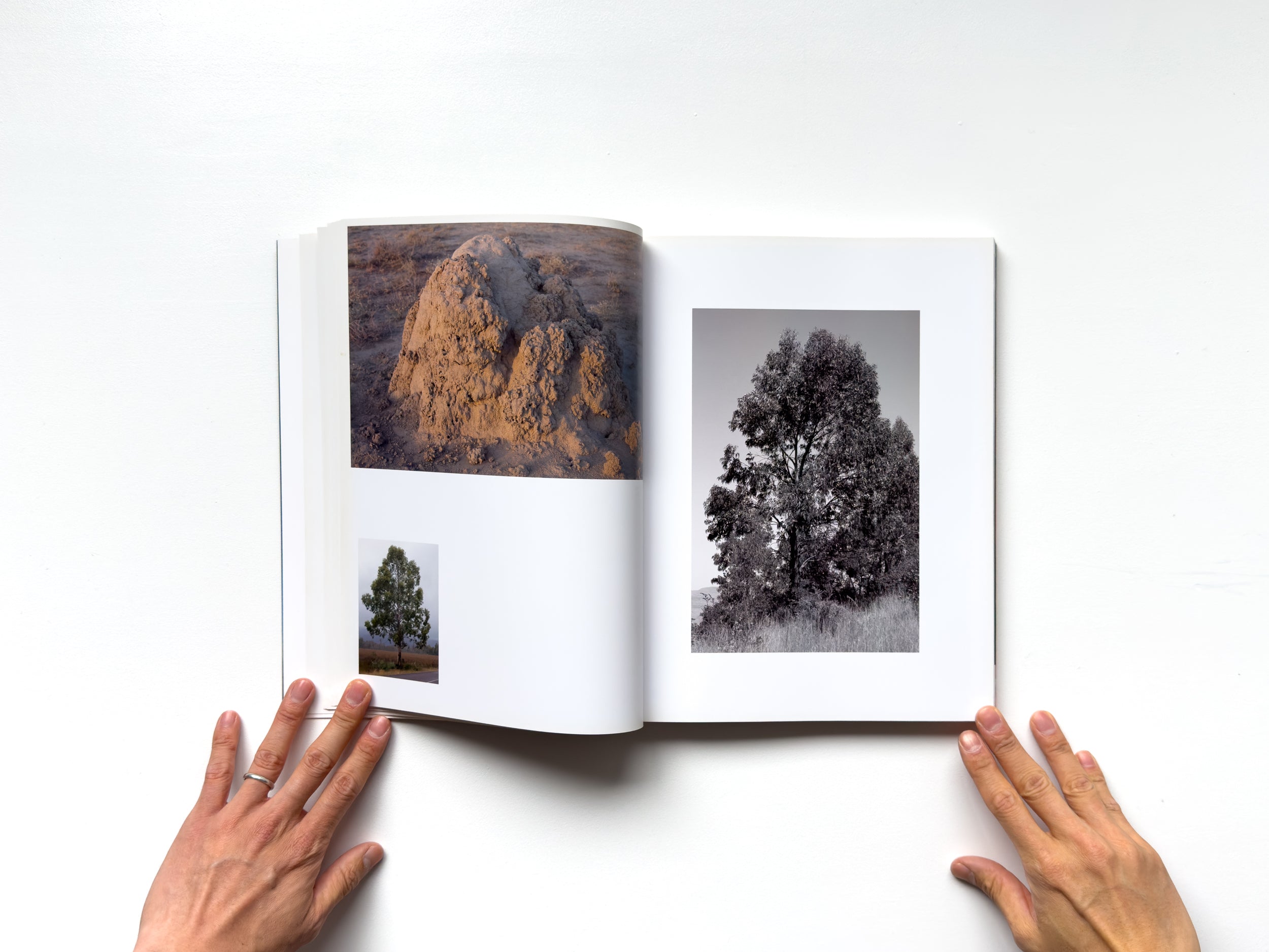 Neue Welt by Wolfgang Tillmans – IACK