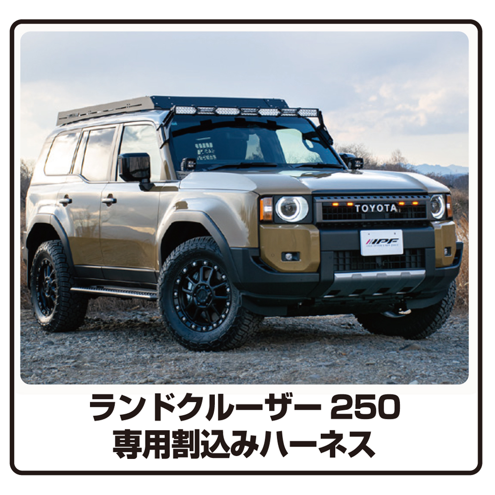 IPFオフィシャルECショップ / EXLC2-02/02W用割り込みハーネス (FD-008)