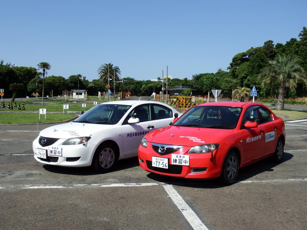 教習車種 | 【指定】伊豆大島自動車学校《合宿免許》