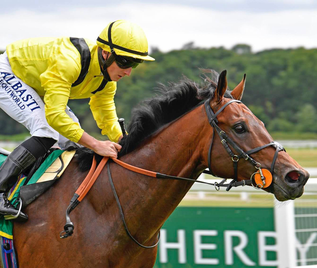 商品詳細 ジャパンギャロップスインポーター有限会社