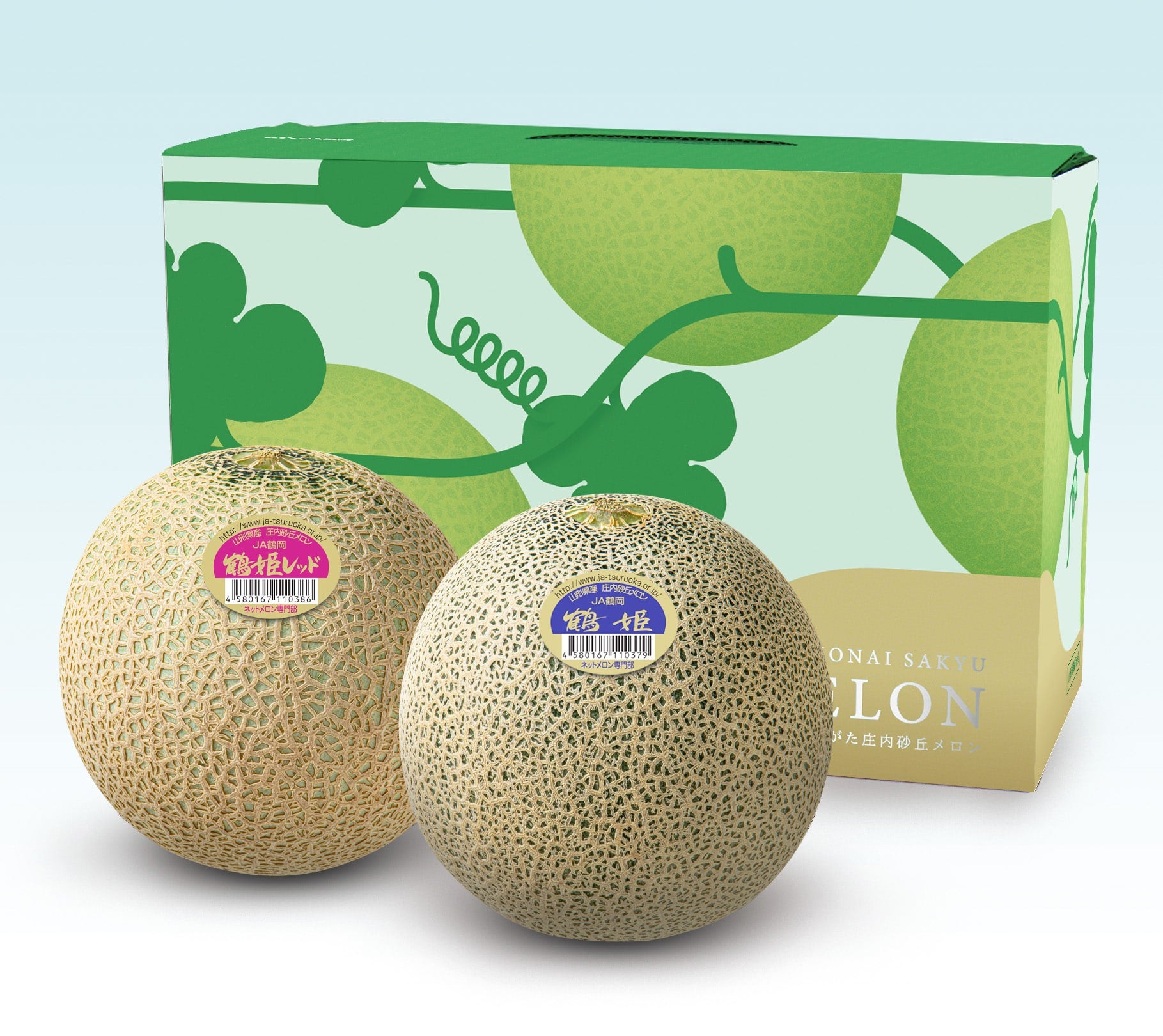 お中元にも！ 鶴姫セット（メロン2玉）: JA鶴岡|【JAタウン】産地