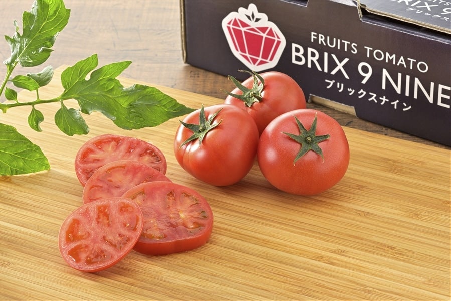1箱 ぐんまの誇る「フルーツトマト”ブリックスナイン”」（JAにった