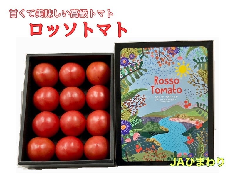 寒冷地用クール便】ロッソトマト 菊L～M(8～16玉): あいちゴコロ