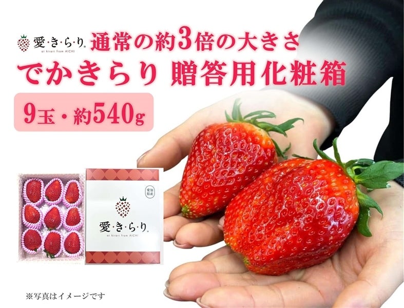 数量限定】愛知県産いちご『でかきらり』約540g: あいちゴコロ|【JA