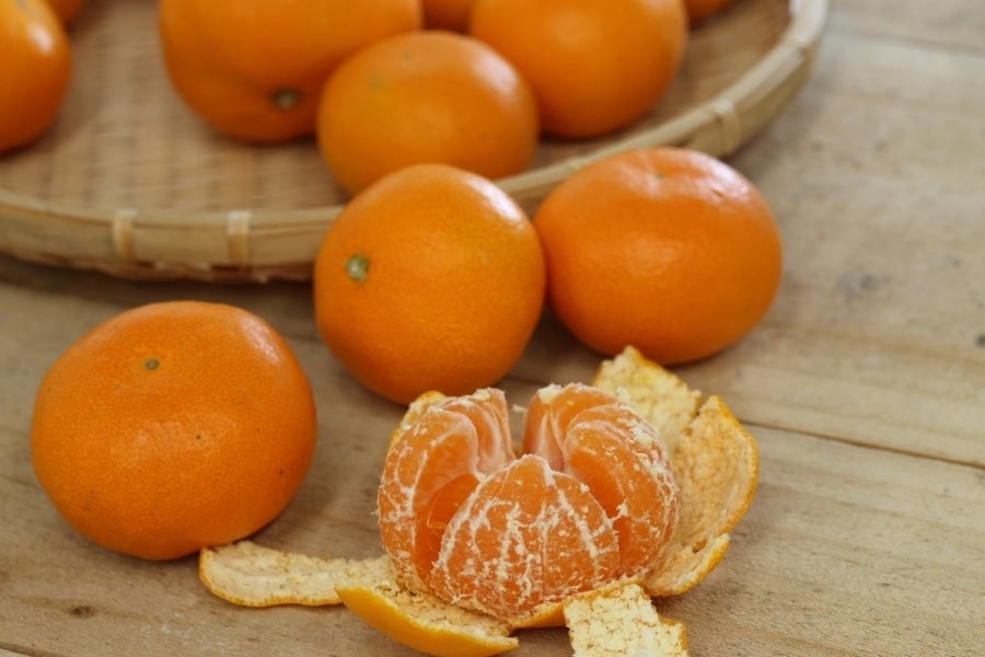 三ヶ日早生みかん（優品）M 8kg JAみっかび: しずおか『手しお屋