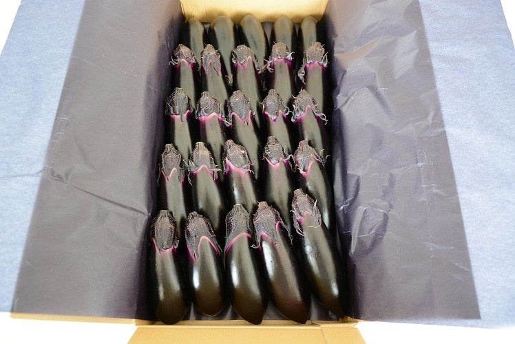 岡山県産 千両なす L2kg（25本）【出荷曜日固定】: おいしいおかやま