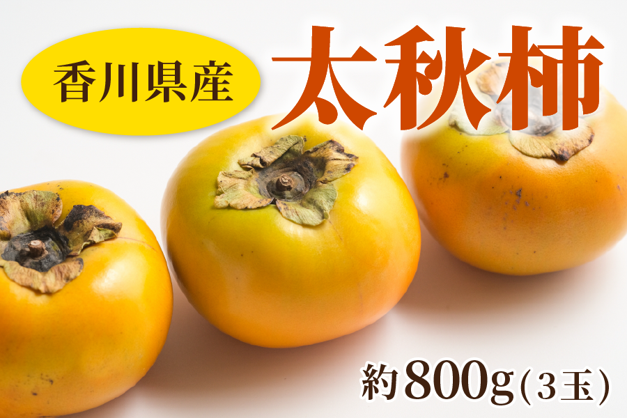 香川県産 大玉 太秋柿 約800g（3玉）: JAギフトセンターかがわ