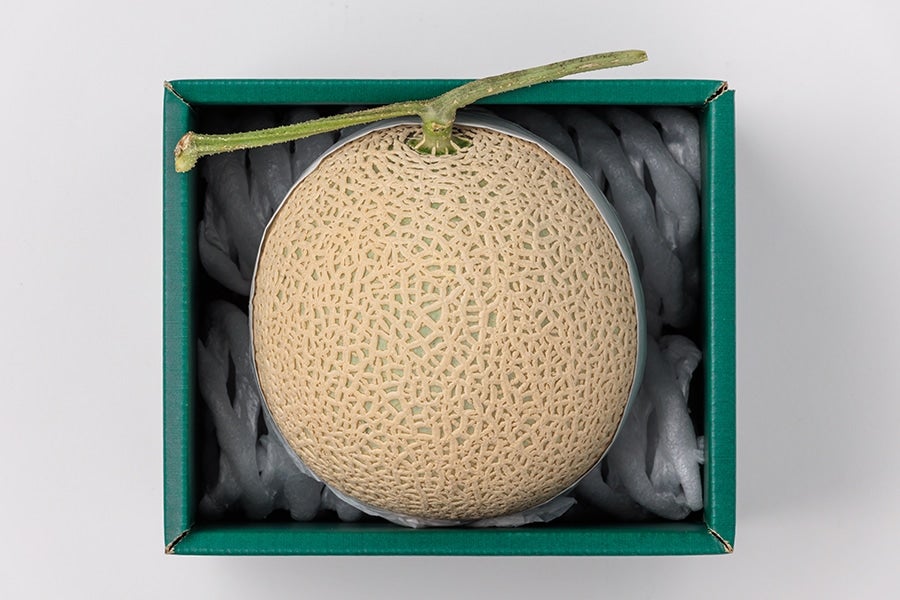 マスクメロン 1玉入 約1.3kg 5月8日頃より順次発送: とさのさとアグリ