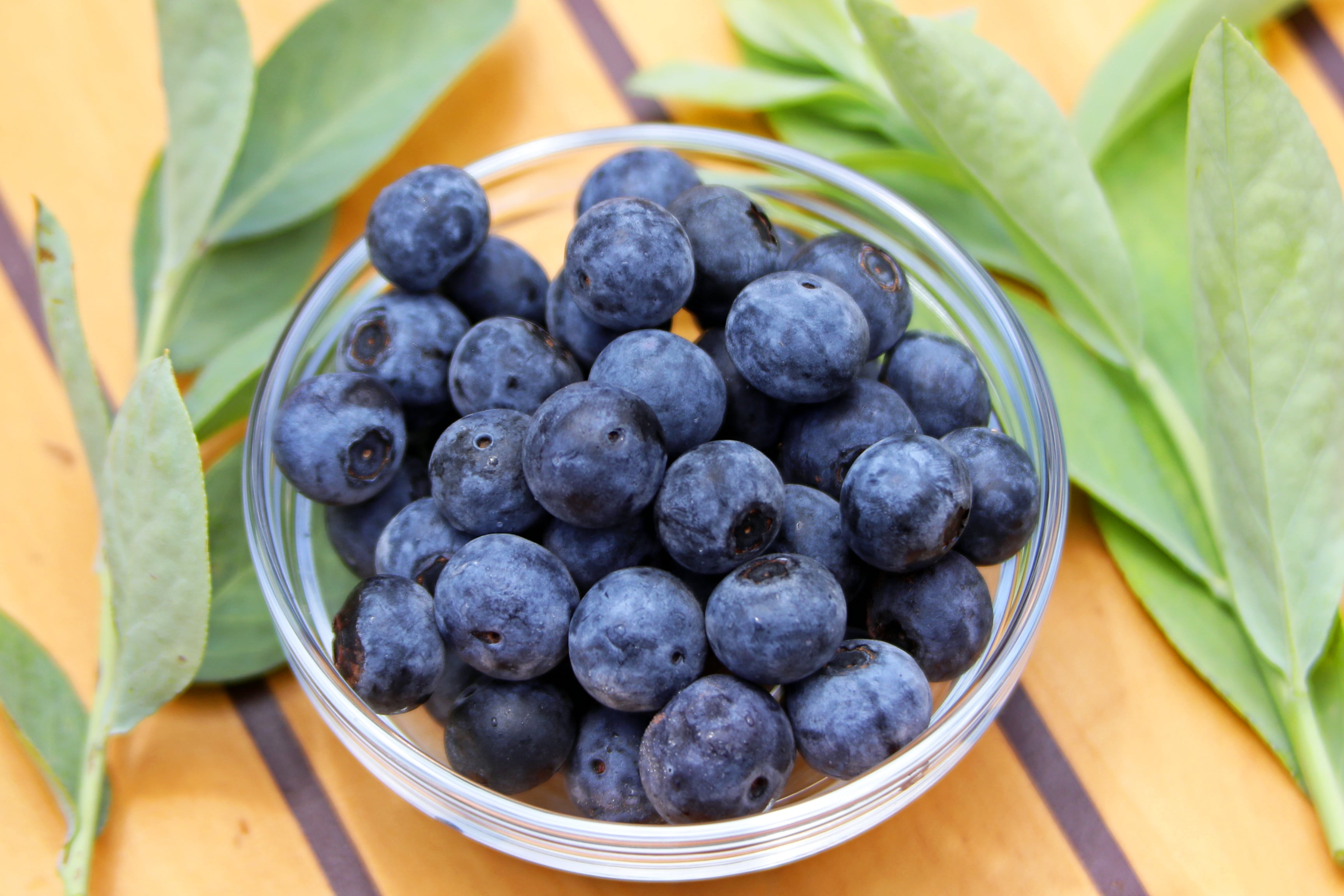 大分県玖珠・九重産冷凍ブルーベリー】4.0kg: まるっと完食おおいた