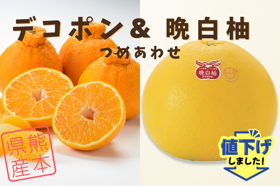 熊本県産 デコポン＆晩白柚: you+youくまもと 農畜産物市場|【JA