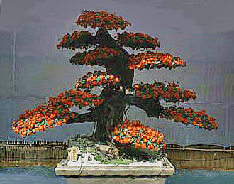 日本の華「キク」 -- 公益社団法人農林水産・食品産業技術振興協会 --