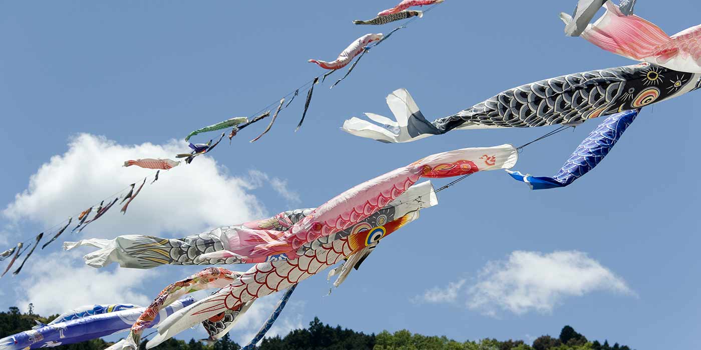 四万十町 こいのぼりの川渡し|日本の絶景 JTB 感動の瞬間（とき）