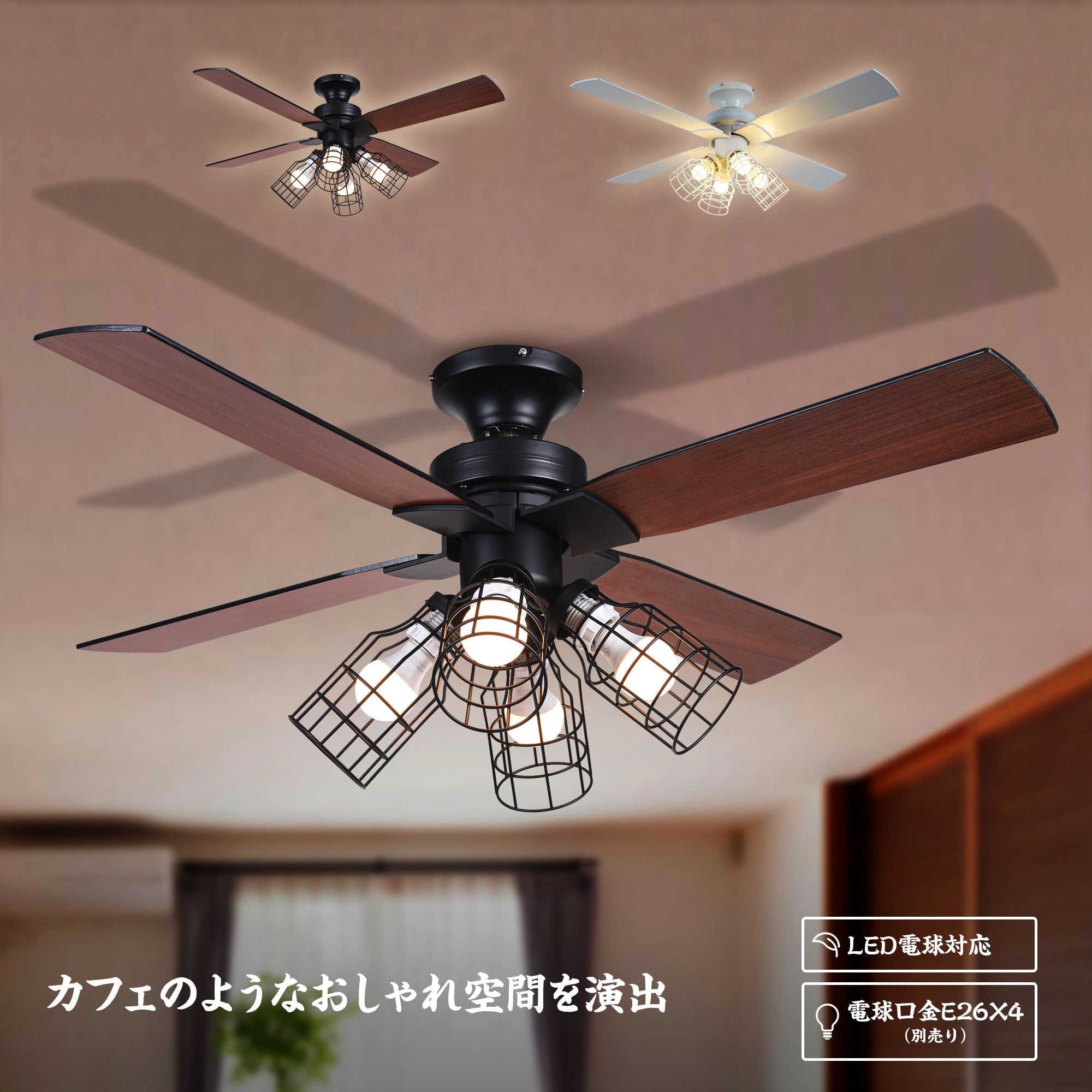 新着 – JPN Parrot Uncle