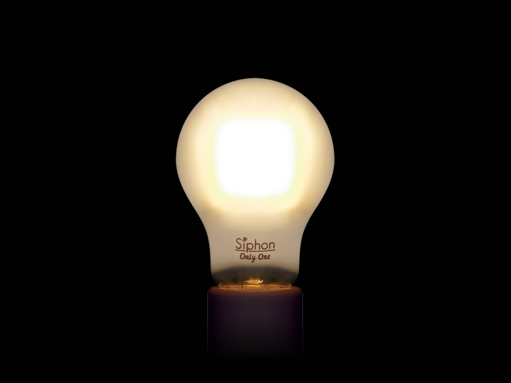 フィラメントLED電球「Siphon」 The Bulb LDF54 フロスト ザ・バルブ