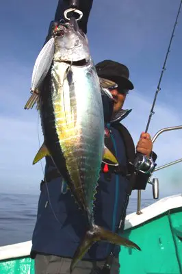 ソルティガ BJ AGS 65HB-SMT ソルティガ BJ AGS 65HB-SMT - 55,000円