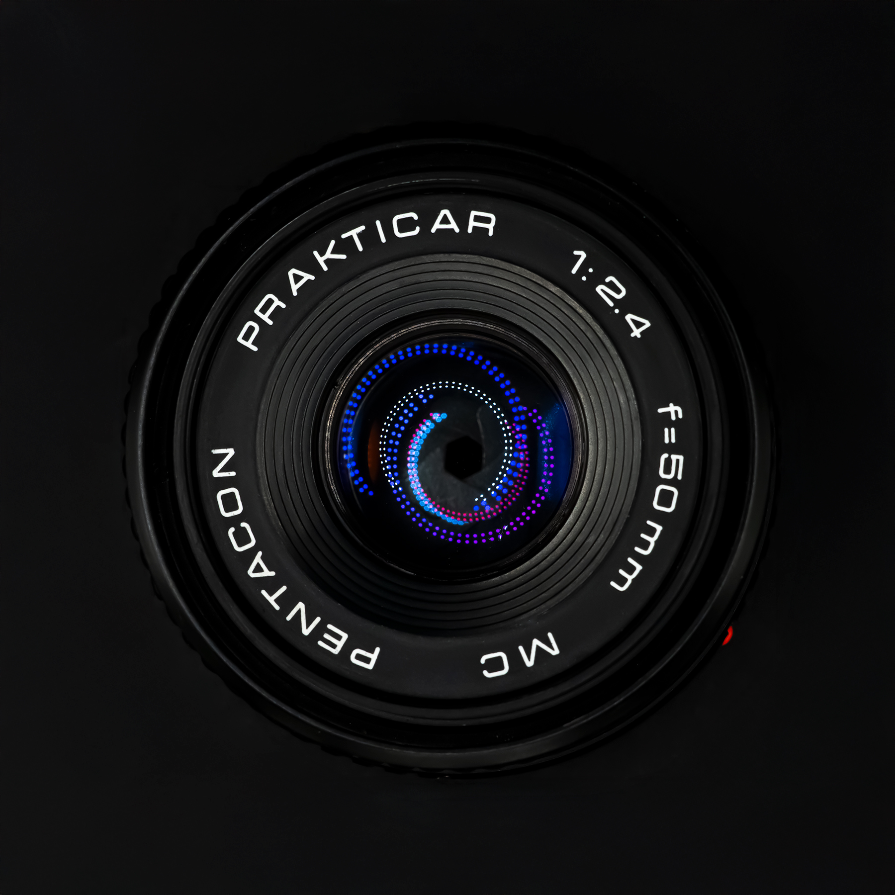 PENTACON PRAKTICAR MC 50mm F2.4 – 犬と手頃なオールドレンズたち