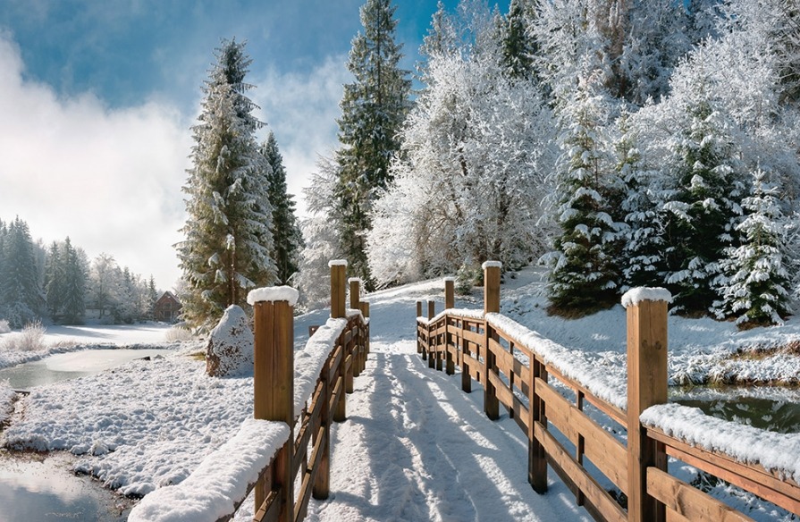 A winter landscape as a outdoor canvas in your garden?