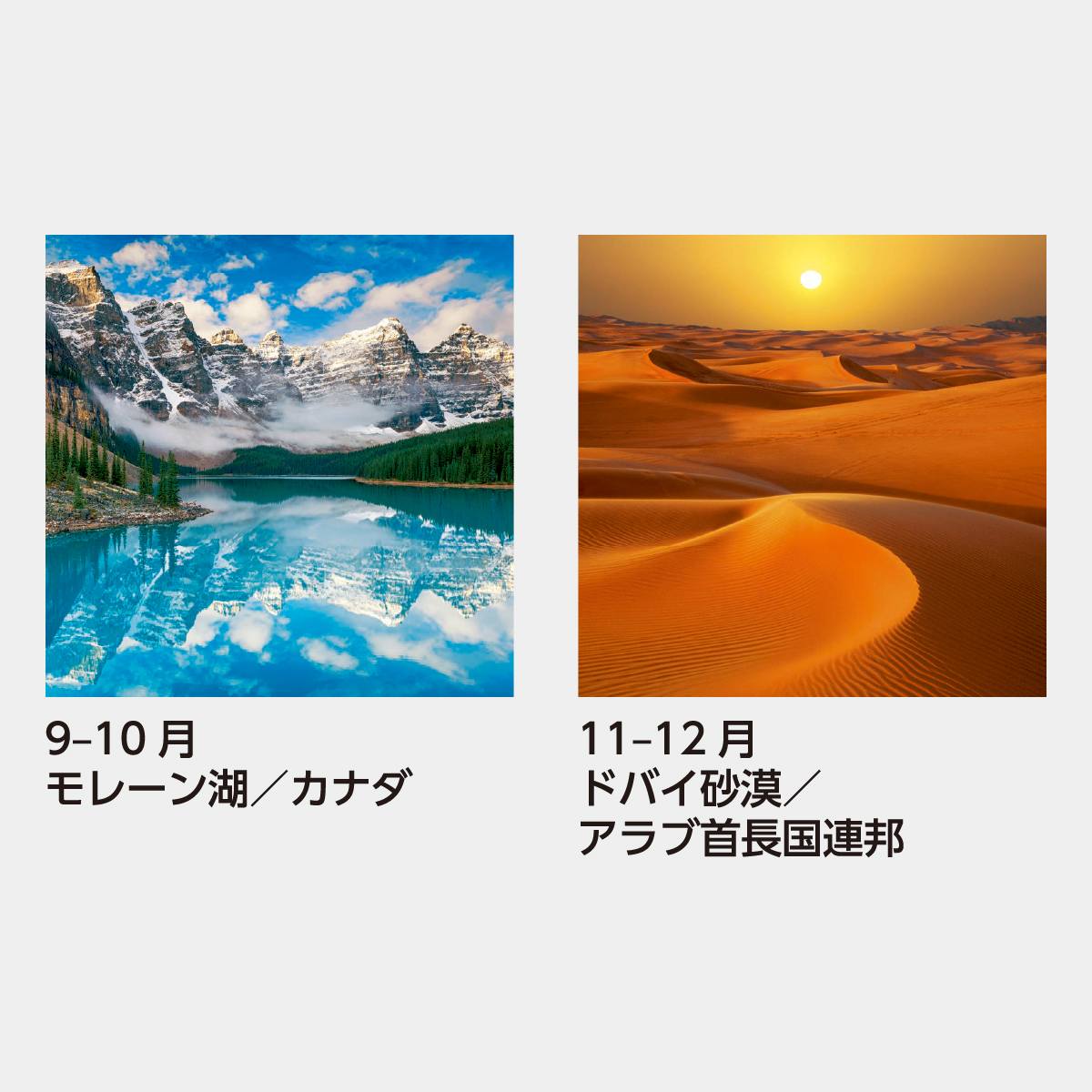 SB-261 【フィルム】世界の大自然2026年版の名入れカレンダーを格安で