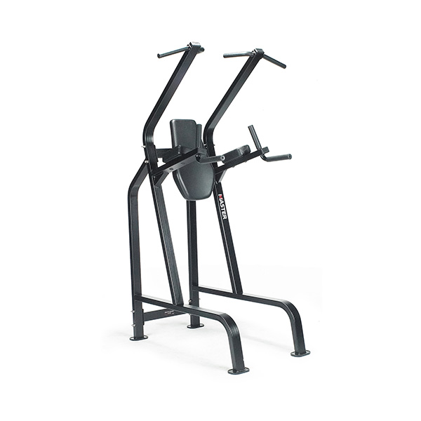 LF-210 チン/ディップ/レッグレイズ - LOTUSWORKS