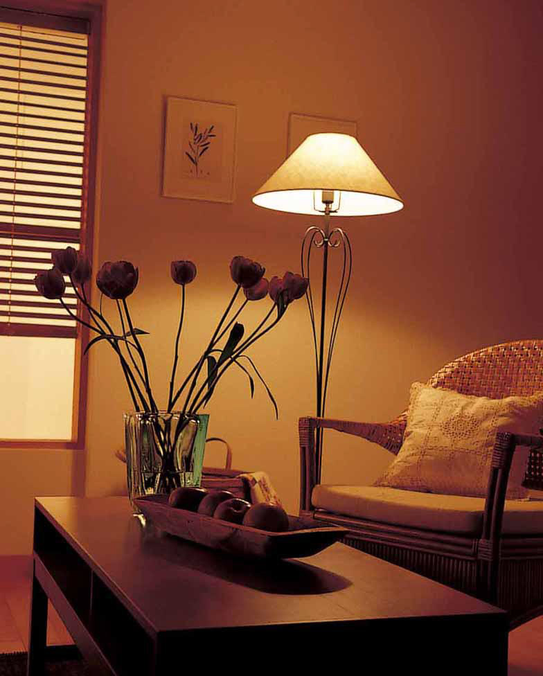 ODELIC オーデリック スタンド OT022126LR | 商品紹介 | 照明器具の