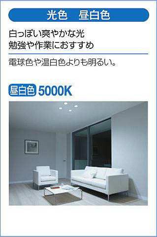 DAIKO 大光電機 ダウンライト(軒下兼用) DDL-5109WW | 商品紹介 | 照明