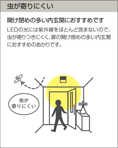 DAIKO 大光電機 シーリング DCL-38930Y | 商品紹介 | 照明器具の通信