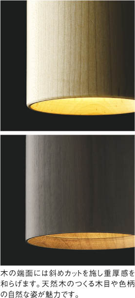 Koizumi コイズミ照明 LEDペンダント AP57309 | 商品紹介 | 照明器具の