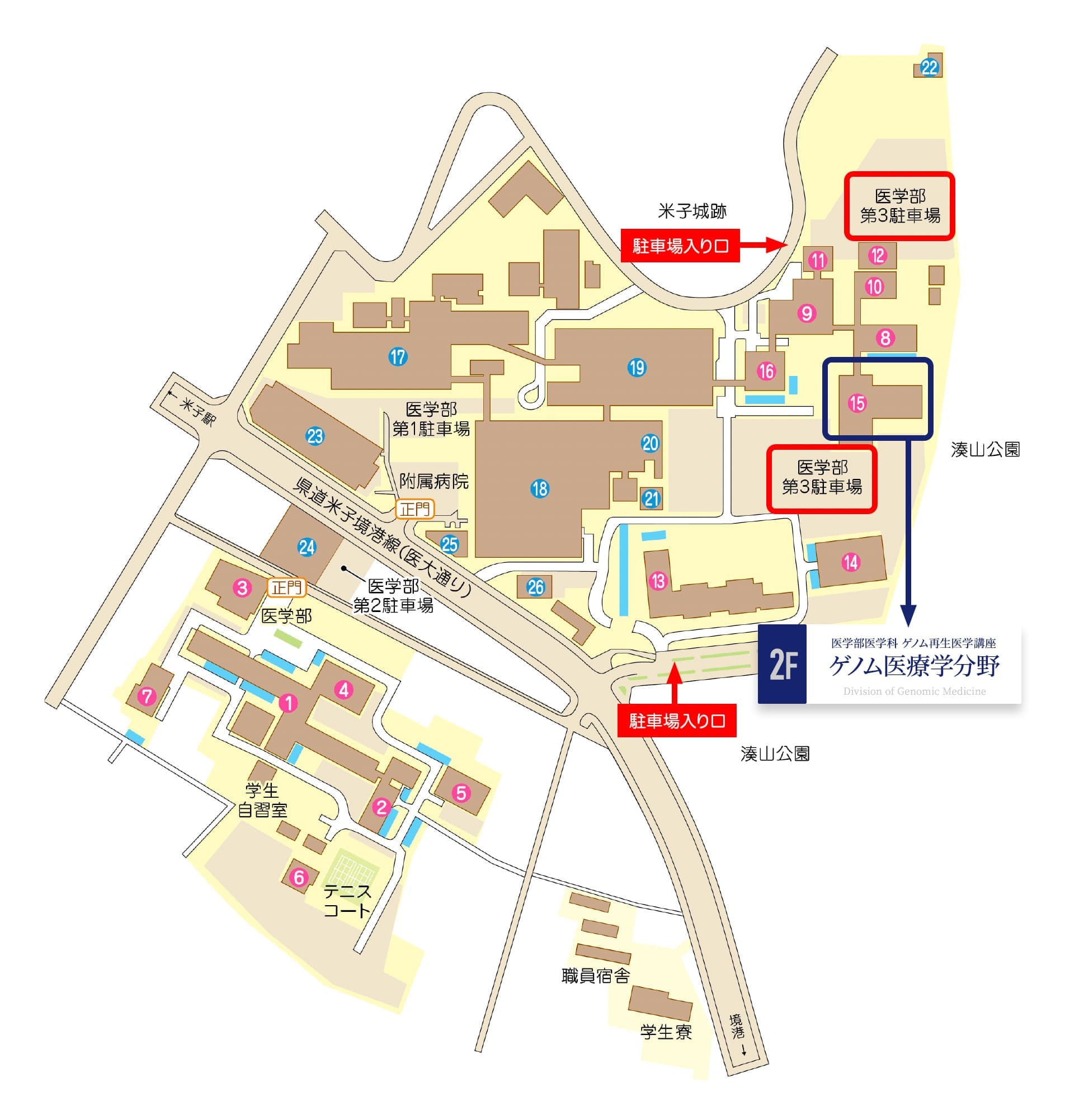 アクセス | 鳥取大学医学部 ゲノム医療学分野