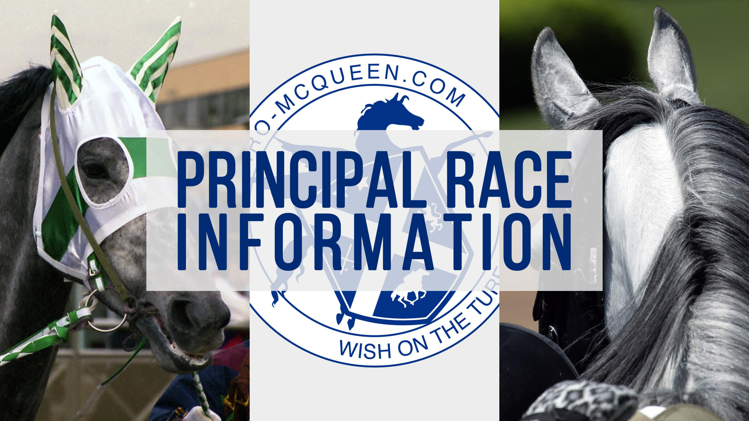 メジロマックイーン ドットコム Wish on the Turf