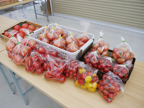 vol.185 – まち・メディア