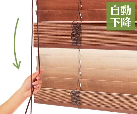 クレールタッチ50 標準タイプ クレール・クレールタッチ ニチベイ