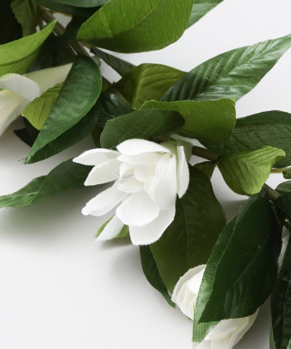 マウナロア【Maunaloa】|フラダンス衣装の専門店|チューブローズ