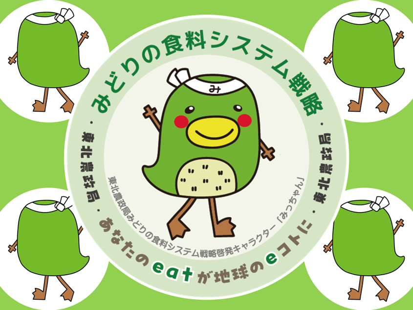 みっちゃんさん専用）光導 グランサジットノヴァのみ みっちゃんさん