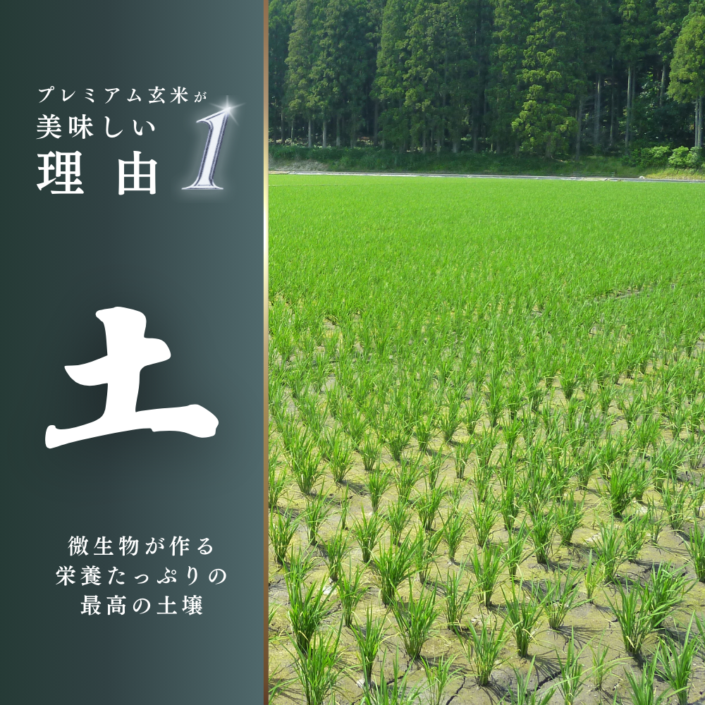 プレミアム玄米(1kg) - 「玄米のマイセン」公式通販サイト