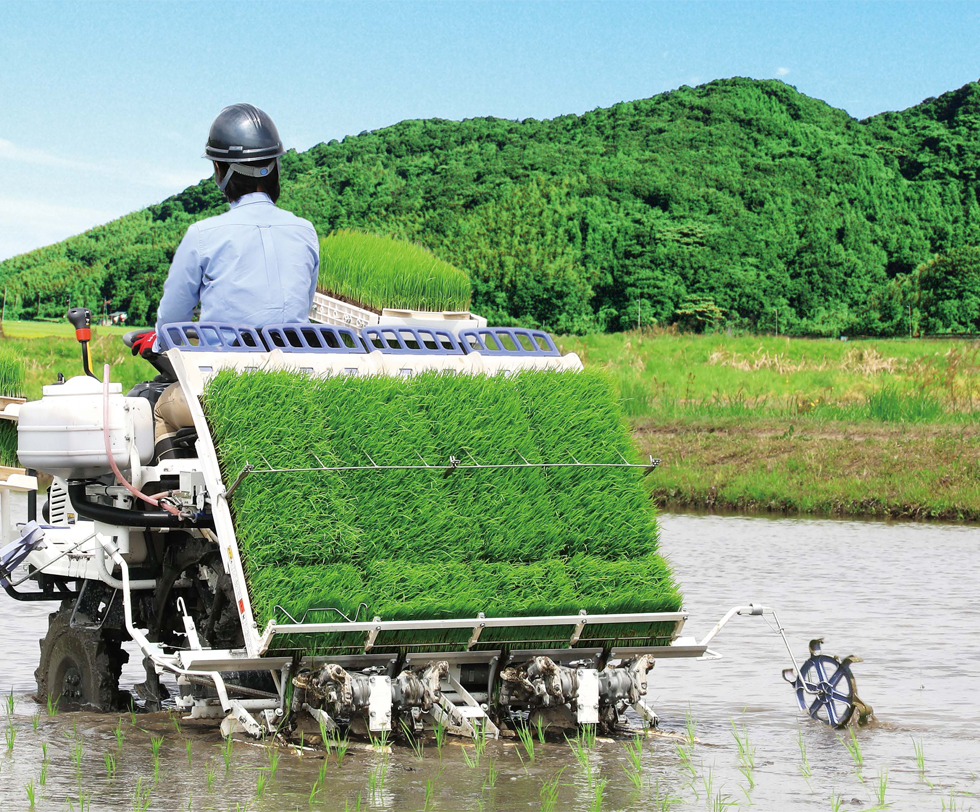 植付性能｜Rice transplanter LE4A｜田植機｜製品情報｜製品紹介｜三菱