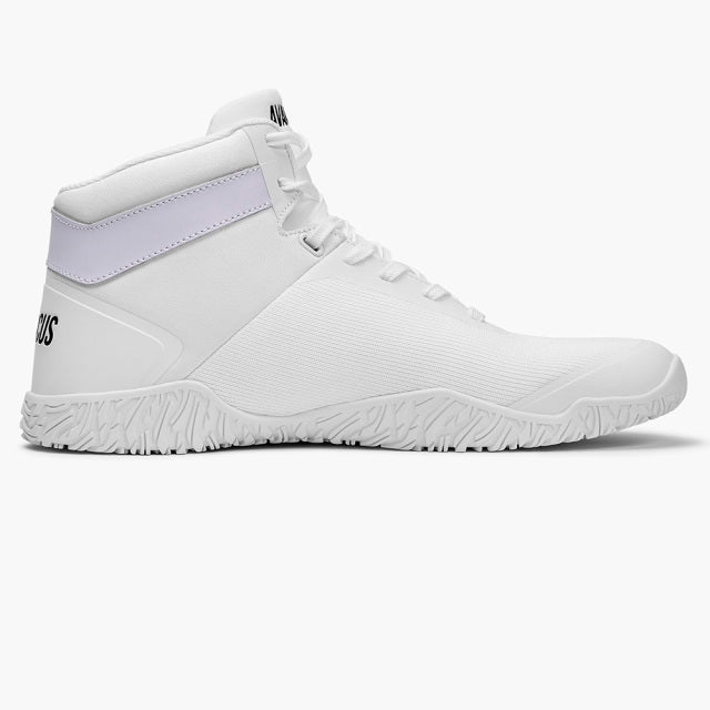 クローズアウト】AVANCUS エイペックスパワーV2.0 ハイトップ — MBC