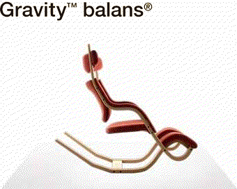 Varier ヴァリエール Gravity balans グラビティバランス バランス