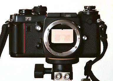 F3を支える名脇役たち