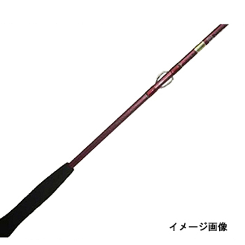 ダイワ(Daiwa) リーディングX ヒラメ 265 05291335｜アウトドア用品
