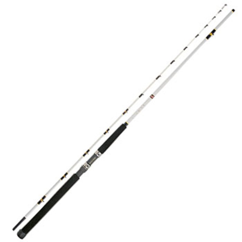 086_1_800.jpg?20080828155812