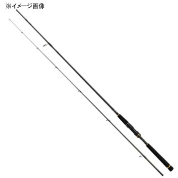 ダイワ(Daiwa) LATEO(ラテオ) 100TML・Q 01474631｜アウトドア用品