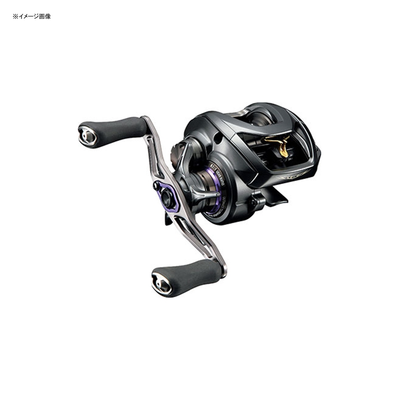 ダイワ(Daiwa) スティーズ SV TW 1012SV-XHL 左巻き 00613357
