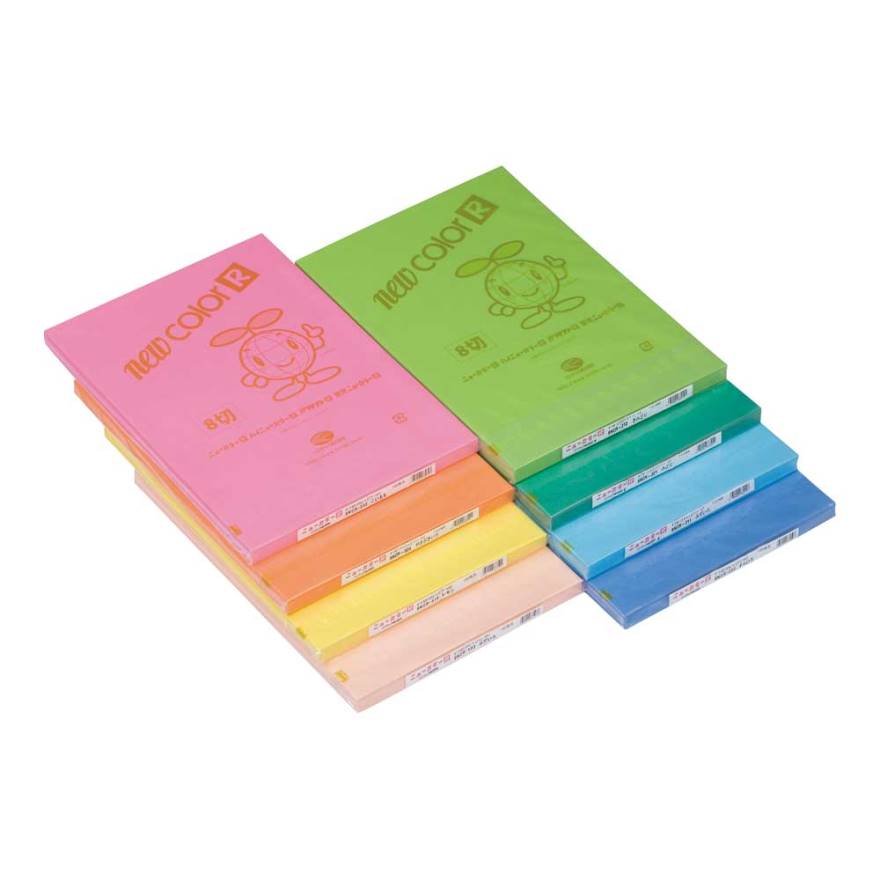 ニューカラーR 4切 ゆき | 日本ノート株式会社